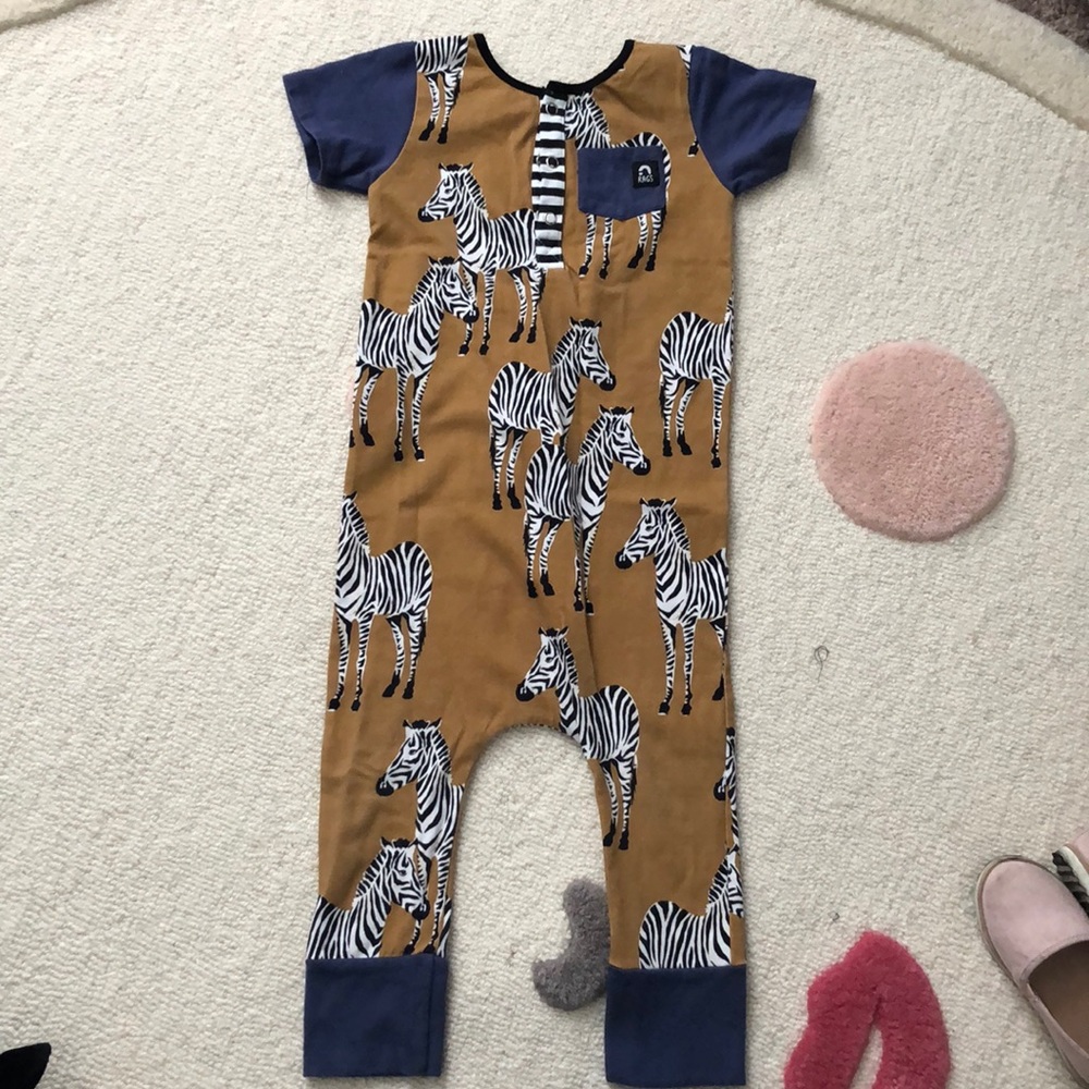 Zebra Rags to Raches